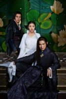 Принцесса короля Лань Лин/Princess of Lanling King