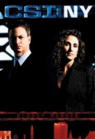 Место преступления: Нью-Йорк/CSI: NY 6 сезон