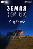 Земля ночью в цвете/Earth at Night in Color 1 сезон