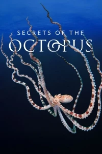 Тайны осьминога/Secrets of the Octopus