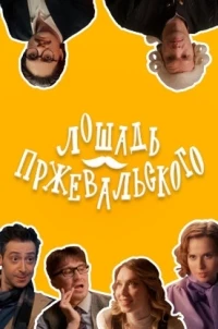 Лошадь Пржевальского